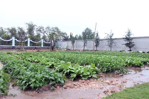 Choáng với nhà thờ tổ trăm tỉ bề thế của Hoài Linh ngày khánh thành
