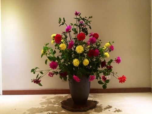 Năm 2017, đặt đồ vật gì ở các hướng của nhà để hóa giải vận xui, đón tài lộc?