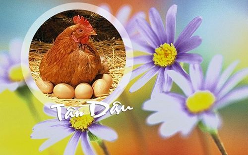 Xông đất tết Đinh Dậu: Tuổi nào mang tiền tài, 'quan lộc' cho gia chủ Tân Dậu?