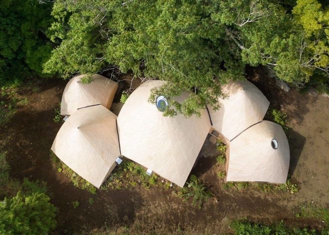 Ngôi nhà gỗ độc đáo giữa rừng cây xanh ở Nhật