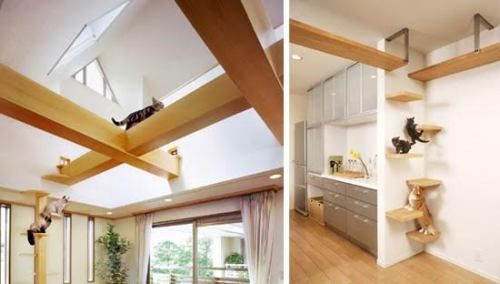 7 sai lầm khi bố trí nhà cửa làm hao mòn sức khỏe của bạn