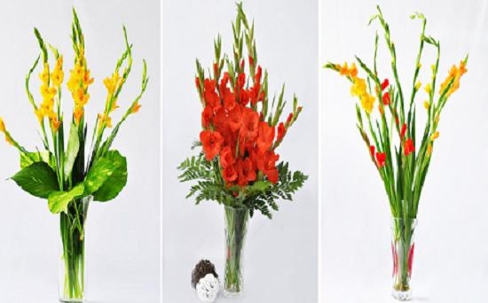 Những loài hoa đẹp trưng bày dịp Tết mang lại may mắn cho gia chủ