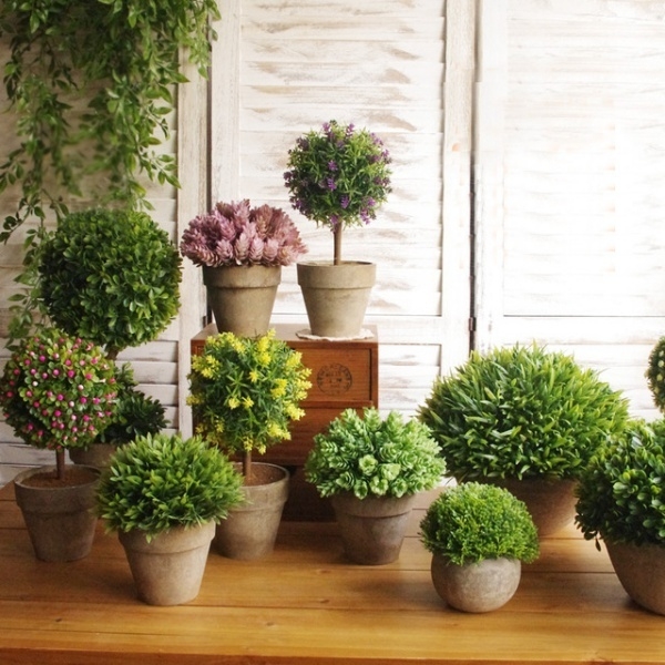 Đón tài lộc vào nhà nhờ bài trí cây xanh trước cửa