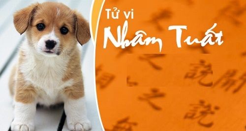Xông đất đầu năm 2017: Tuổi nào ‘rước’ tiền cho gia chủ Nhâm Tuất?