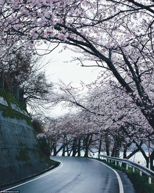 Ngắm vẻ đẹp cổ kính pha lẫn hiện đại của Nhật Bản