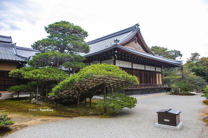 Ngôi chùa dát vàng độc đáo ở Kyoto