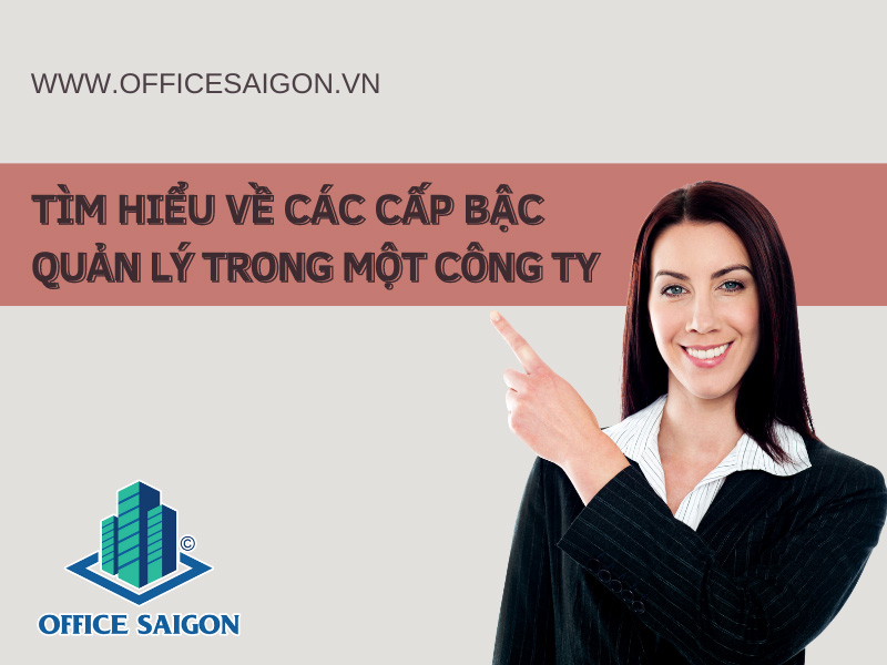 Các cấp bậc trong một tổ chức doanh nghiệp