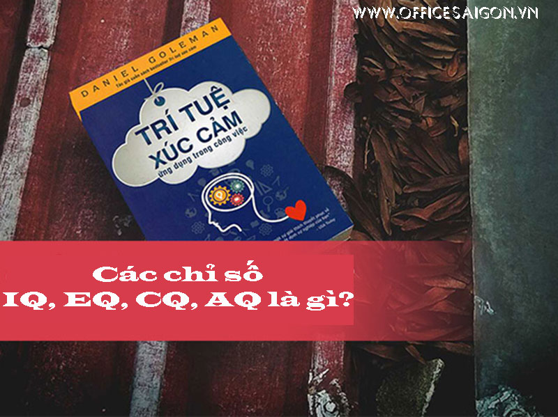 Các chỉ số IQ, EQ, CQ, AQ là gì?
