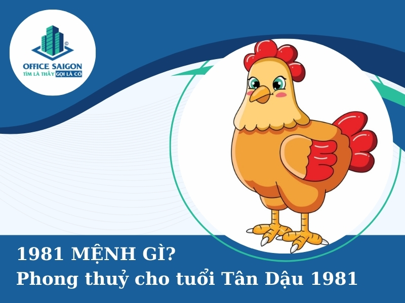 Năm 1981 mệnh gì? Chọn văn phòng hút tài lộc cho tuổi Dậu