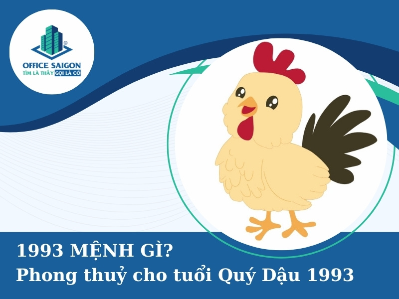 1993 mệnh gì? Chọn văn phòng 