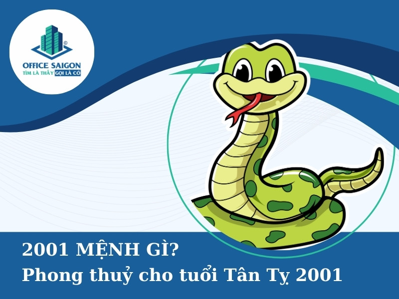 2001 mệnh gì? Bí quyết chọn văn phòng gia tăng may mắn