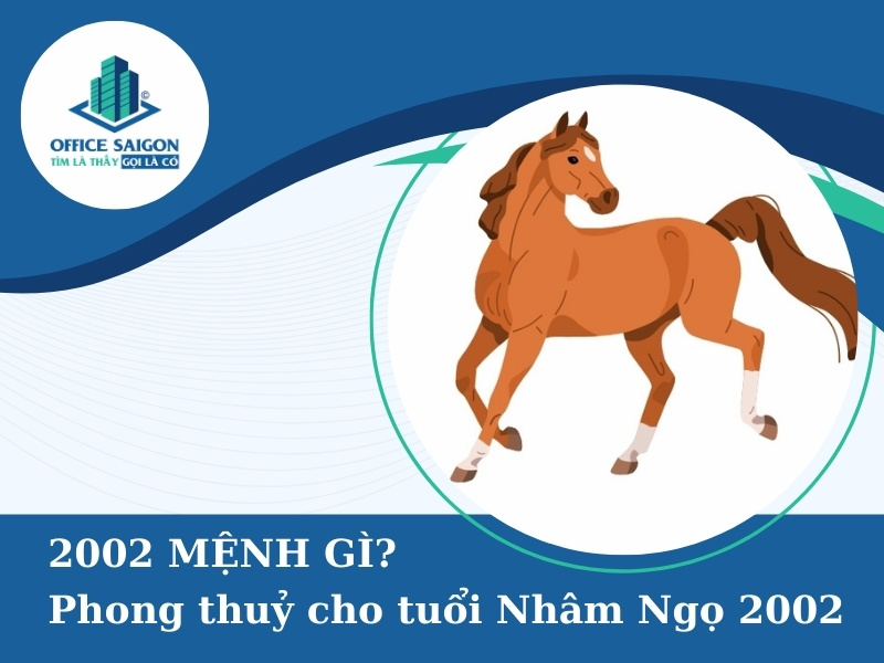 2002 mệnh gì? Chọn văn phòng giúp sự nghiệp thăng hoa