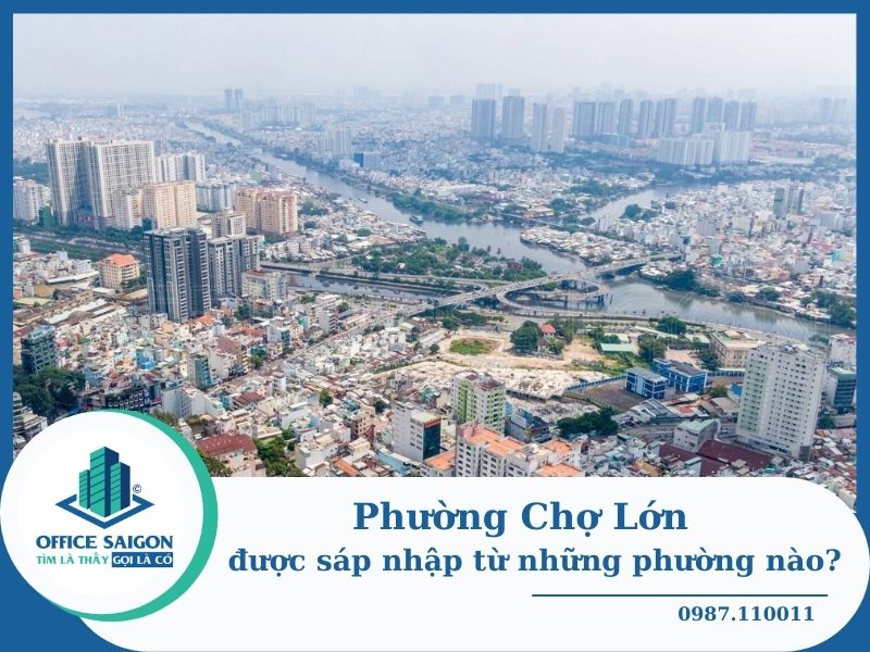 Phường Chợ Lớn: Đặc điểm vị trí và kinh tế