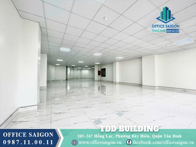 Mặt bằng toà nhà TDD Building Hồng Lạc