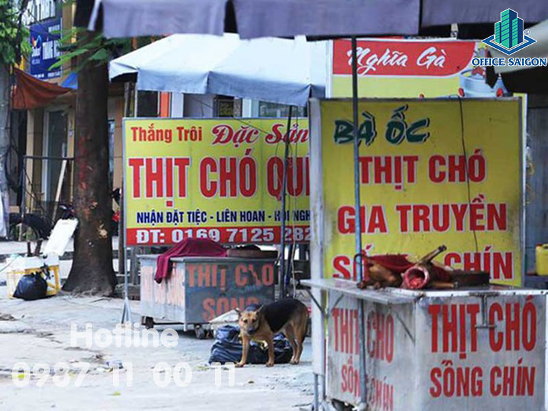 Có nên ăn hay không ăn thịt chó?
