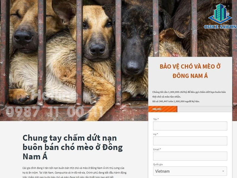 Dân văn phòng nên hay không nên ăn thịt chó