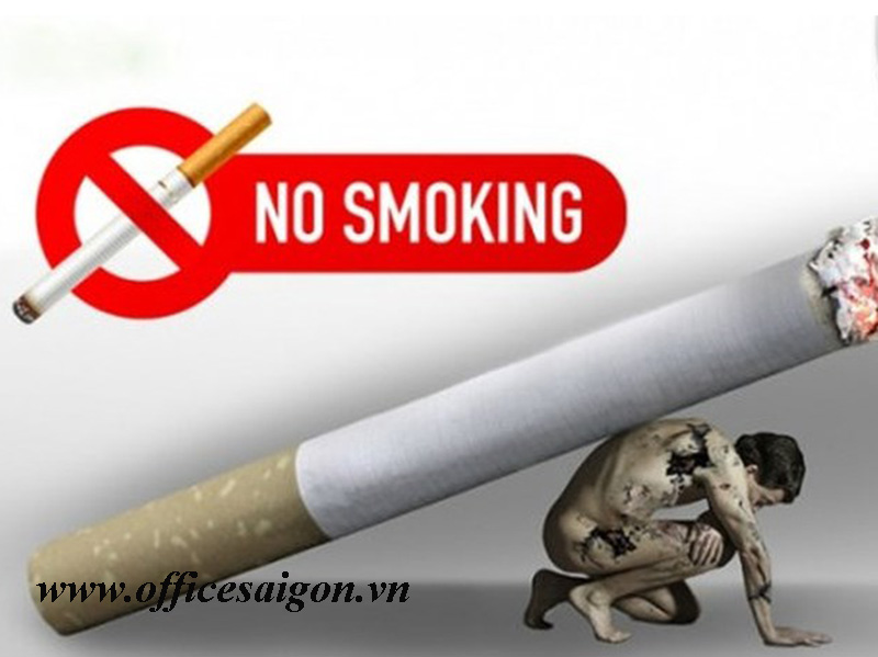 Cấm hút thuốc tại văn phòng 