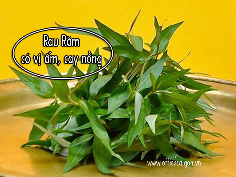 Công dụng chữa bệnh của rau răm