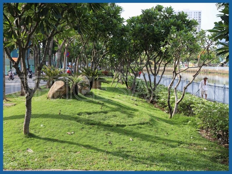 Hạ tầng – tiện ích nổi bật tại phường Cầu Kiệu