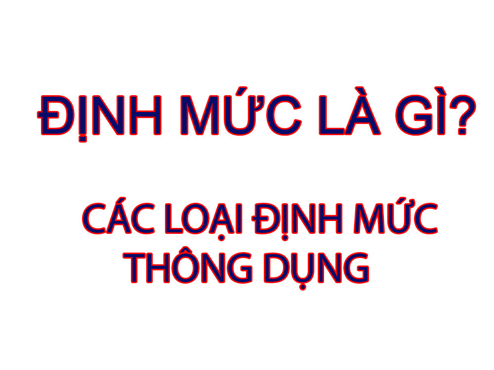 Định mức là gì? các loại định mức