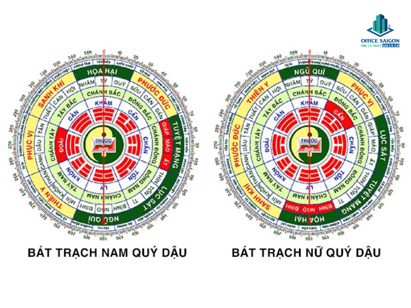 1993 hợp hướng nào làm việc