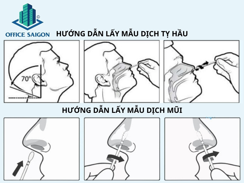 Cách tự lấy mẫu test nhanh Covid-19 tại nhà.