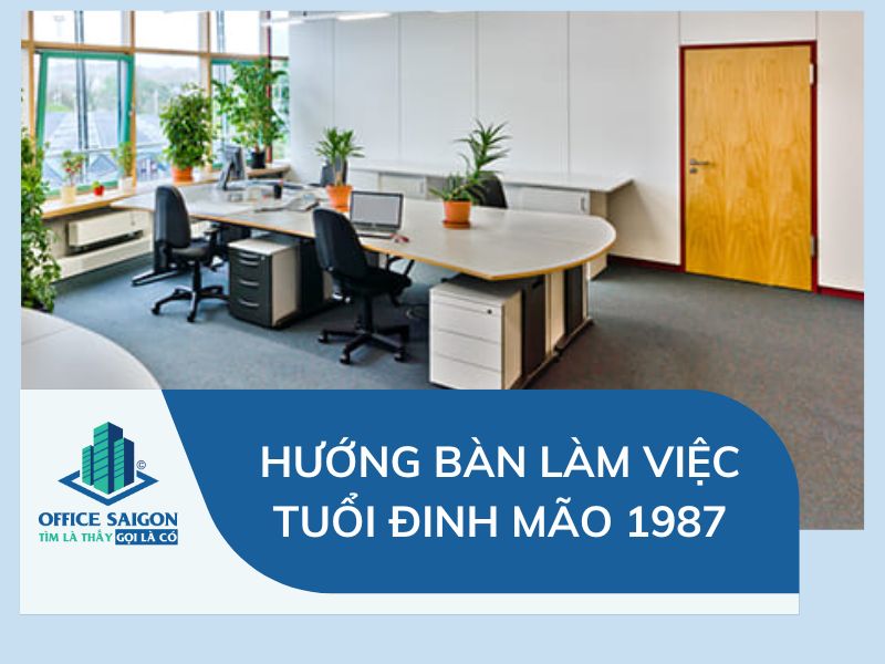 dinh mao 1987