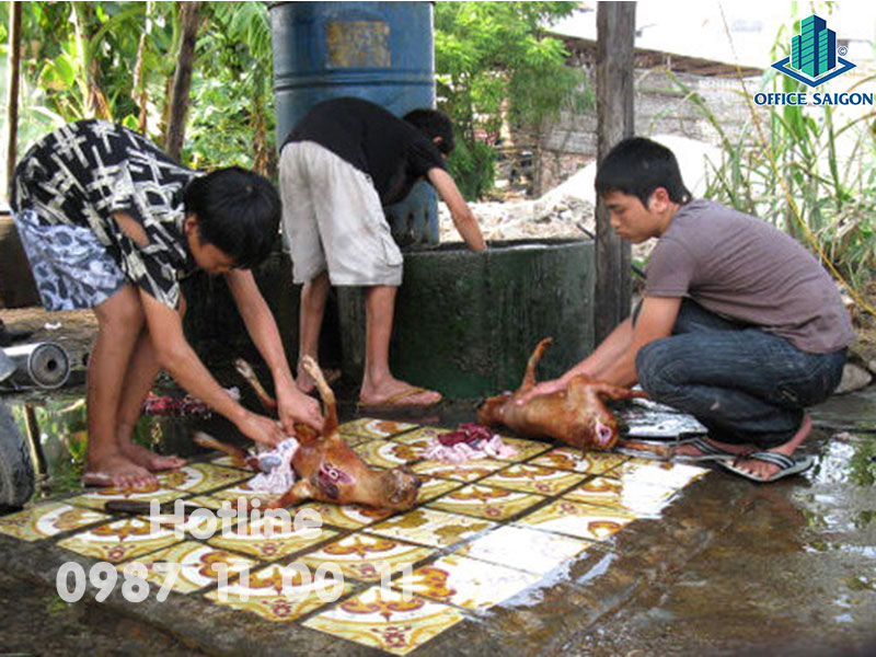 Dân văn phòng nên hay không nên ăn thịt chó