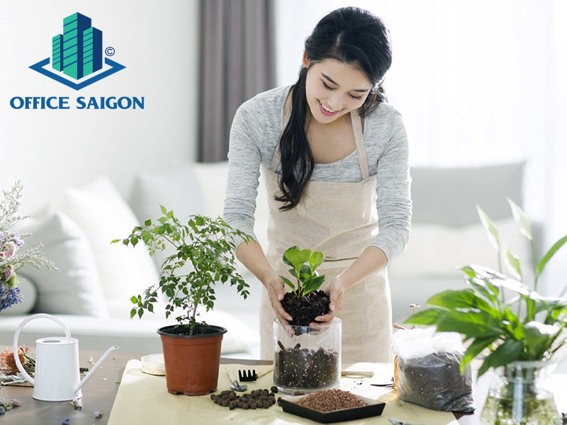 Chăm sóc cây xanh giúp giải tỏa căng thẳng trong những ngày giãn cách.