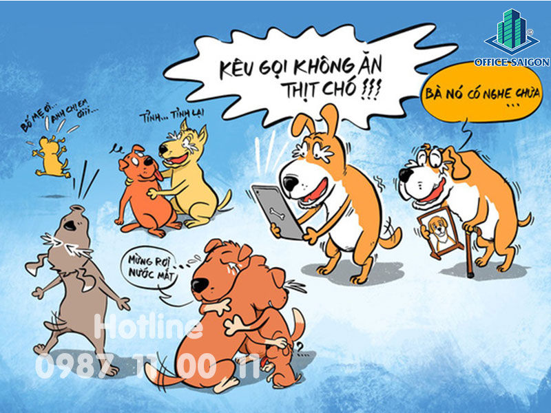 Dân văn phòng nên hay không nên ăn thịt chó