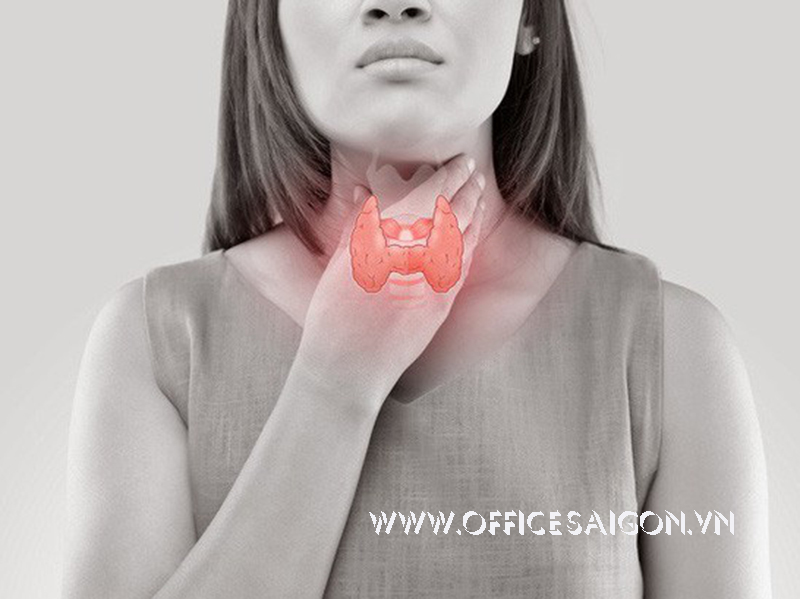 Lý do khiến bạn không thể giảm cân