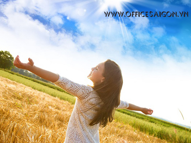 Những nguyên tắc giúp bạn thành công